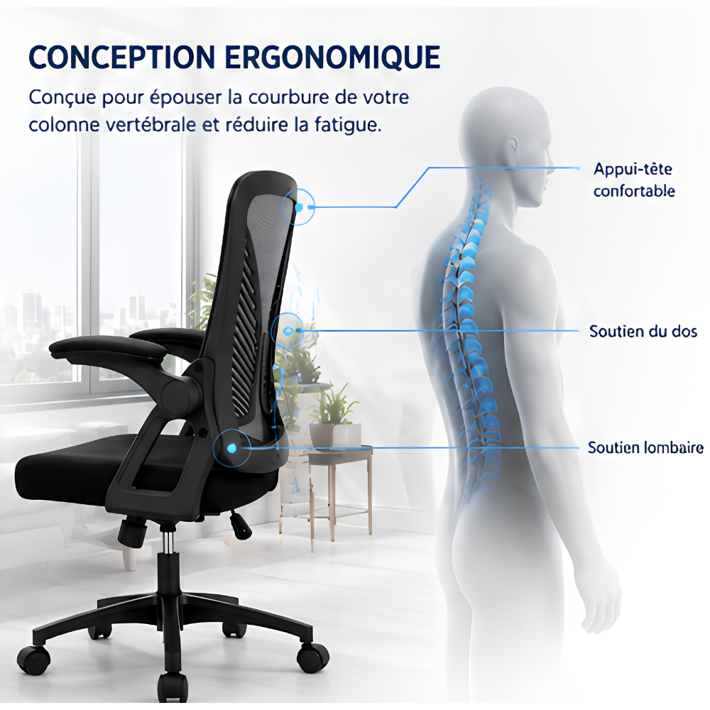 Chaise de Bureau Ergonomique avec Support Lombaire & Hauteur Réglable