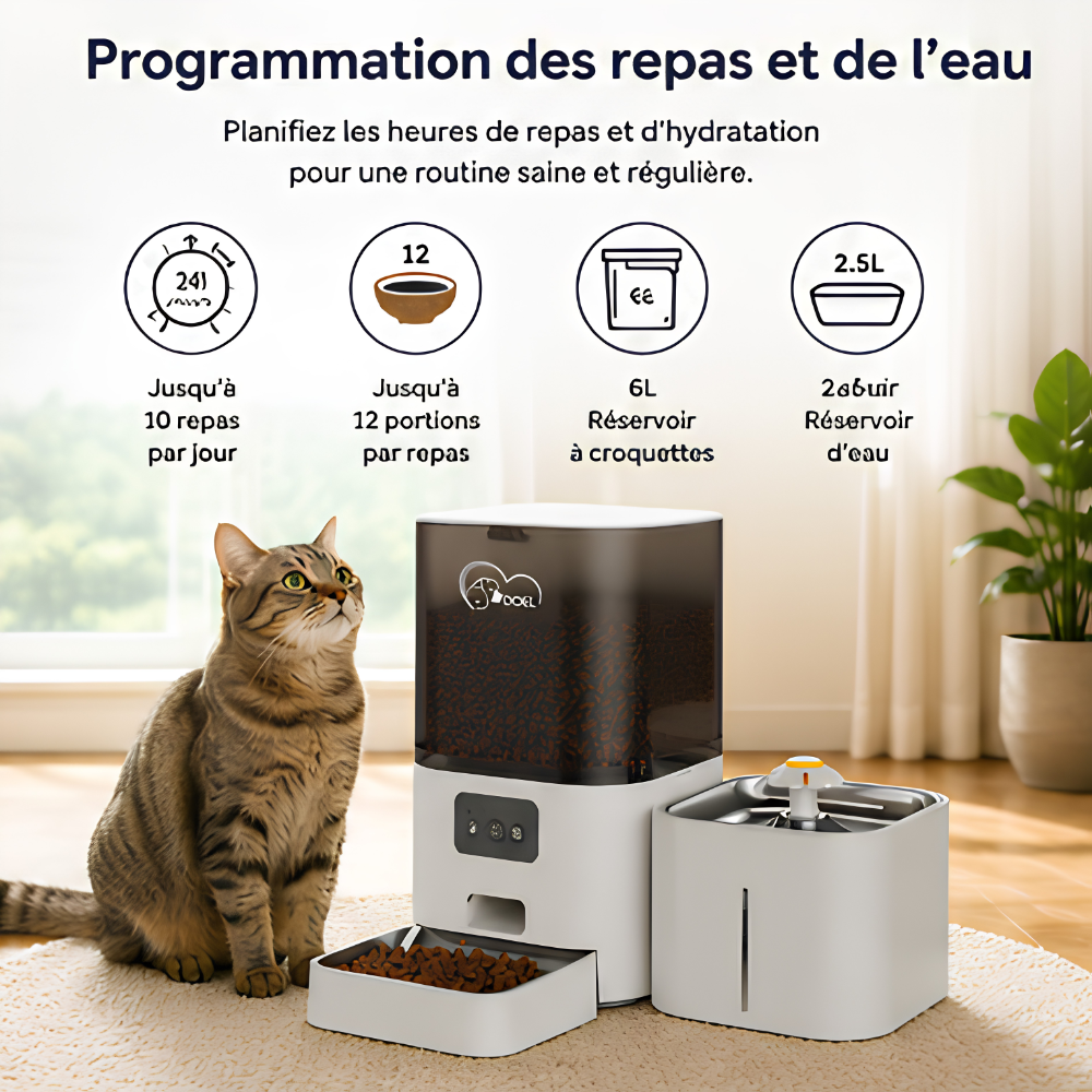 Distributeur Automatique 2-en-1 avec fontaine | Ma Maison Equipée.